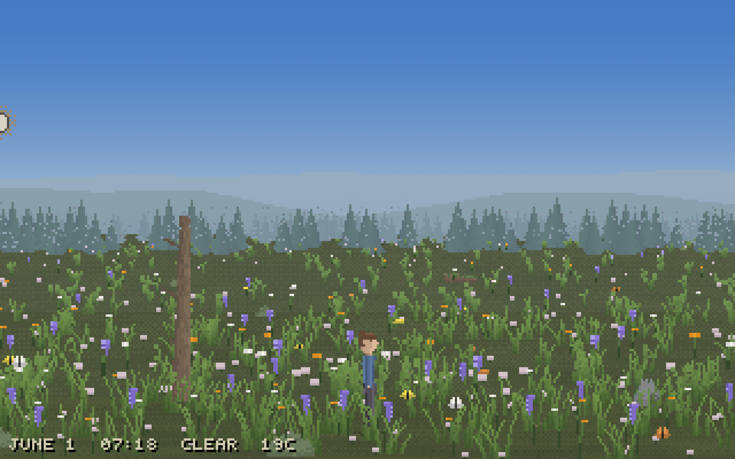 A 320x200 pixel meadow: tall grass and purple and white wildflowers, a fencepost, a misty conifer treeline, a butterfly, a small figure standing in the grass. Status line reads JUNE 1, 07:18, CLEAR, 19C.
